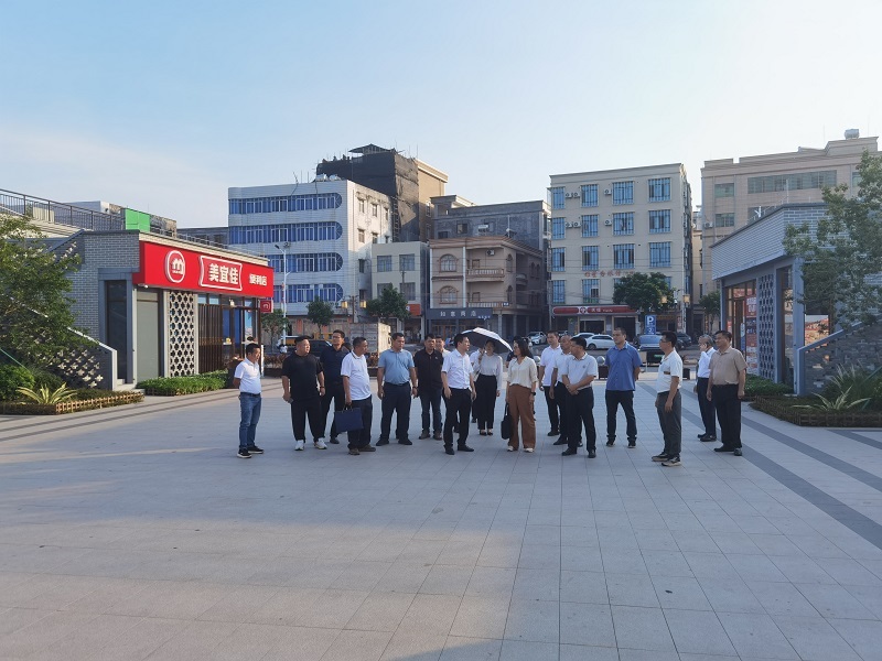 高州市考察组到庙街参观学习.jpg